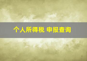 个人所得税 申报查询